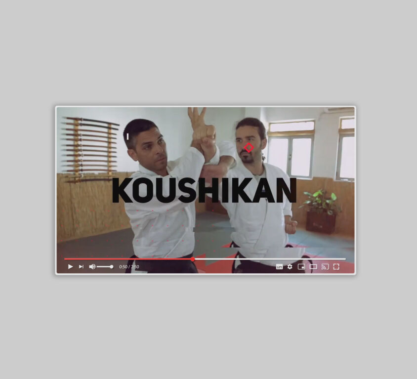 Koushikan Dojo Promo Video