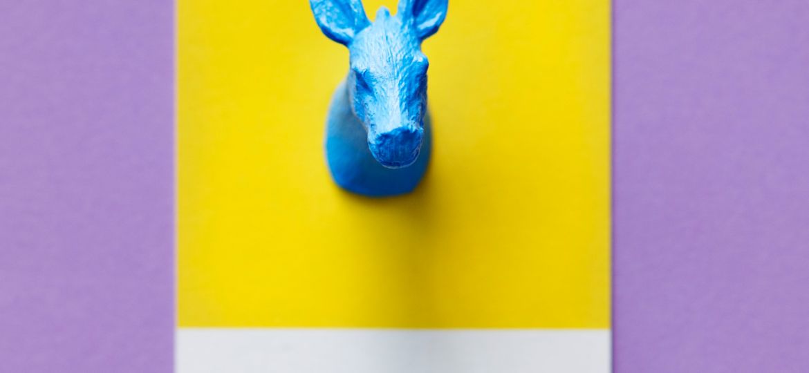 Brand Strategy & Digital Presence